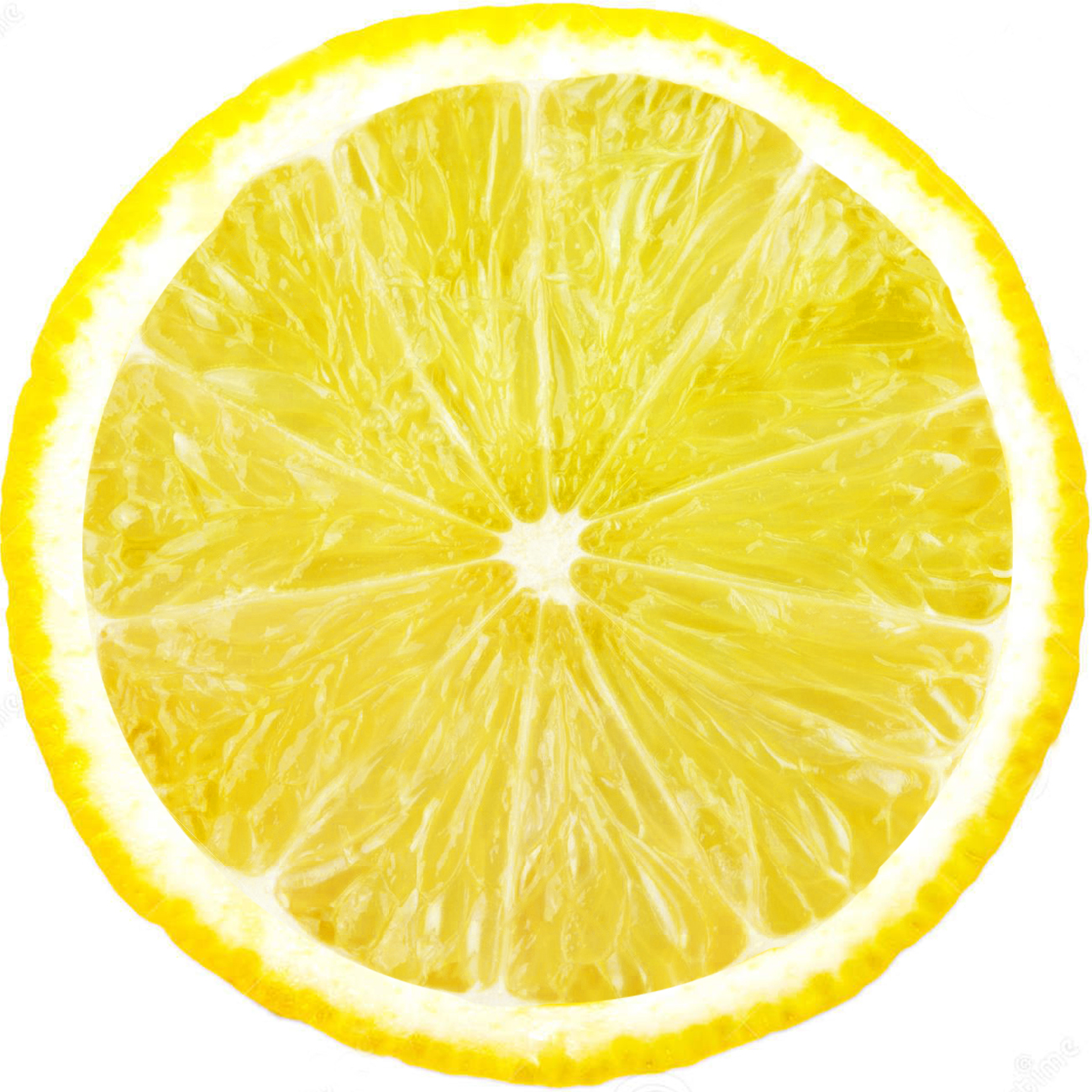6a2a72649c8a3.jpg